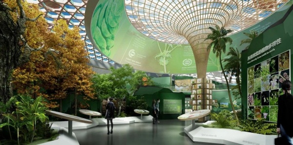 讓自然 “說話” 的博物館：生態(tài)展館設(shè)計的共生哲學與科技賦能指南