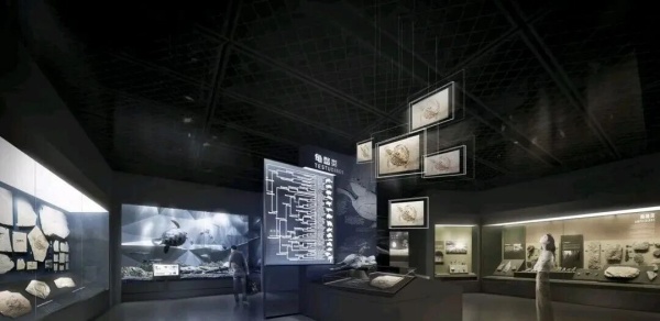 化石王國——熱河生物群展廳設計